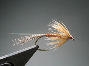 Massive, yet ranslucent Massive, yet ranslucent