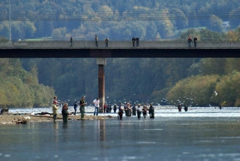 Anglers in two floors Anglers in two floors