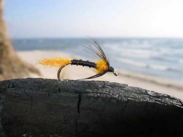 A black variation A black variation