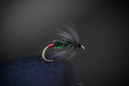 Soft hackle Soft hackle