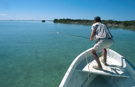 Fish can be anywhere Fish can be anywhere