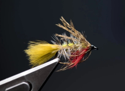 Frugal Bugger Frugal Bugger