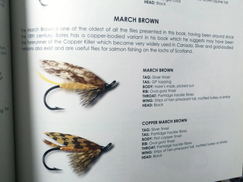 In Mann's book In Mann's book