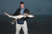 A lovely Smooth Hound shark A lovely Smooth Hound shark