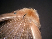 A close-up A close-up