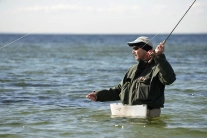 Left hand caster Left hand caster