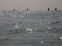 Right there! Right there!