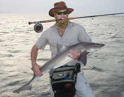 Jacques with a lovely Smooth hound Shark Jacques with a lovely Smooth hound Shark