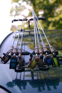 Gear galore Gear galore