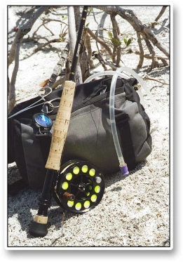 Fanny pack and water Fanny pack and water