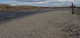 Fight on the bank Fight on the bank