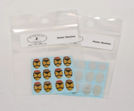 Beetle shells Beetle shells