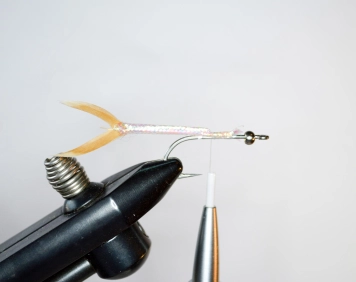 Speedy - step 2 Speedy - step 2