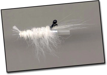 Tube shrimp Tube shrimp