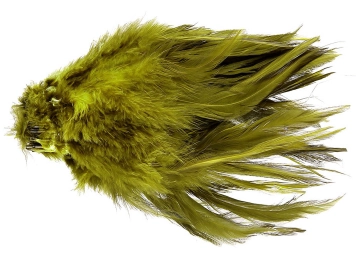 A lousy saddle A lousy saddle