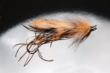 Tan Winged Intruder Tan Winged Intruder