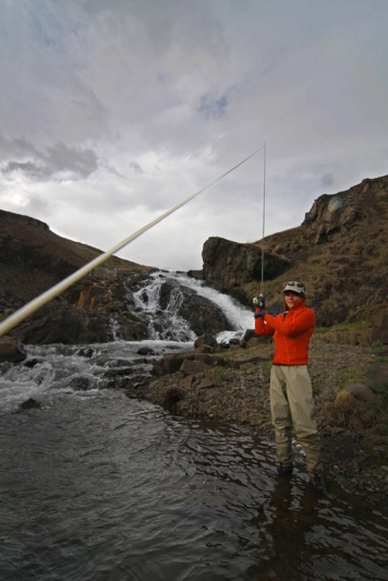 C'mon salmon! C'mon salmon!