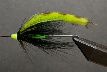 Green Wing Green Wing