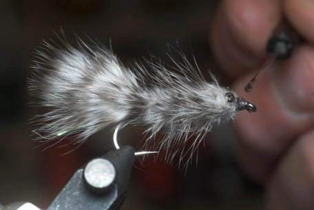 Step 23 - varnish Step 23 - varnish