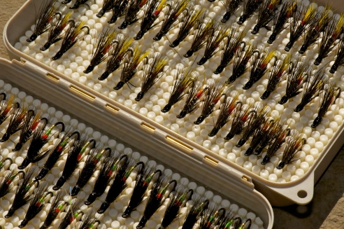 Small flies Small flies