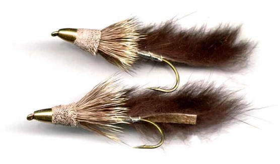 FMJNM - Moser cones FMJNM - Moser cones