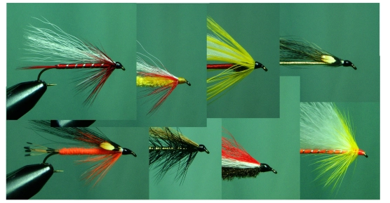 Roy Patrick conversions Roy Patrick conversions