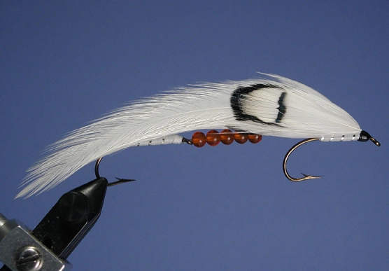 White Moth White Moth