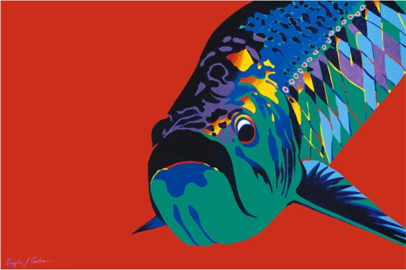 Tarpon in bright colors Tarpon in bright colors