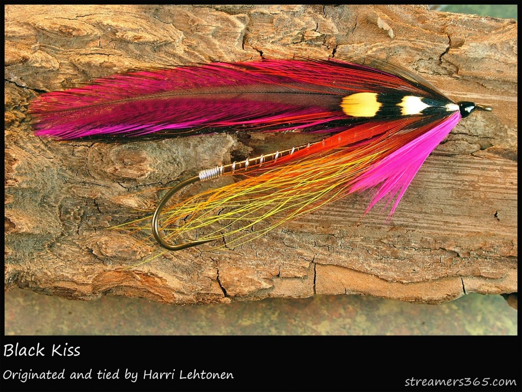 #74 Black Kiss - Harri Lehtonen #74 Black Kiss - Harri Lehtonen