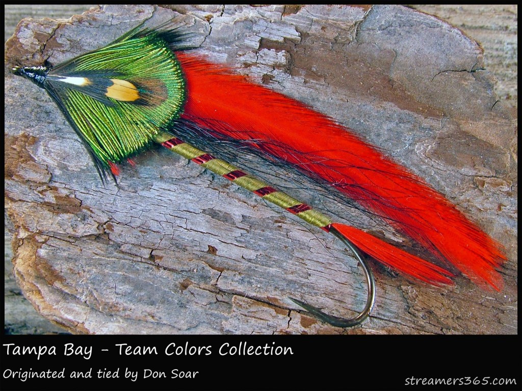 #101 Tampa Bay - Team Colors Collection - Don Soar