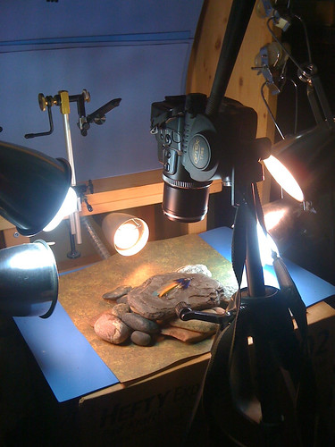 Streamers 365 photo station.