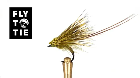 Video thumb for Mayfly Emerger