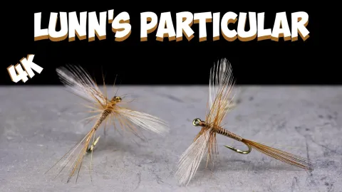 Video thumb for Lunn's Particular