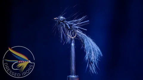 Video thumb for Murray's Road Kill