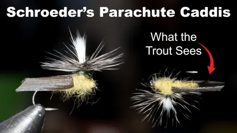 Video thumb for Schroeder's Parachute Caddis