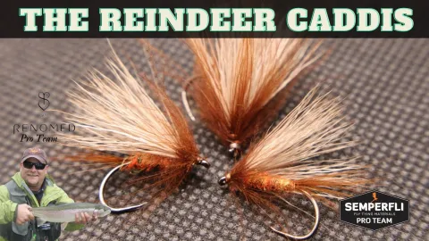 Video thumb for Rick's Reindeer Caddis