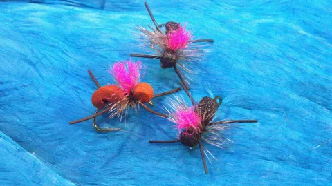 Video thumb for Generic Terrestrial Dry Fly