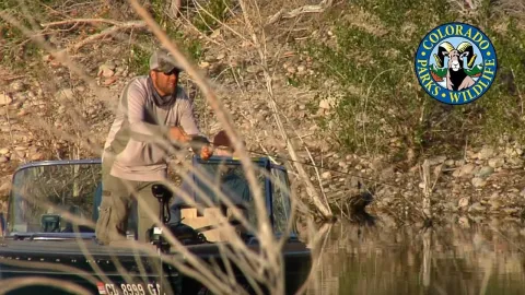 Video thumb for CO Bass & Bluegill 