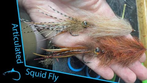 Video thumb for Squid Brush Fly