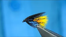 Video thumb for Straggler Kate McLaren Dabbler