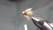 Video thumb for The Buggy Arizona Prince Nymph
