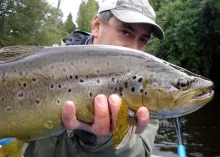 Video thumb for Río Marrón - Las Farios de Chiloé / La Vaguada