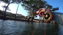 Video thumb for Guadalupe River first time this year