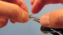 Video thumb for Dark Hendrickson Winged Wet