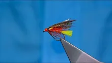 Video thumb for Dunkeld Sparkler