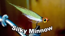 Video thumb for Silky Minnow