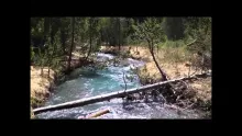 Video thumb for Flyfishing a small stream