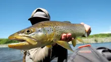 Video thumb for Big Fish Crush Dry Flies