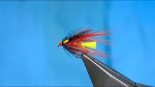 Video thumb for Dunkeld Octopus