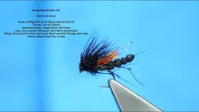 Video thumb for Sedgehog Heather Fly